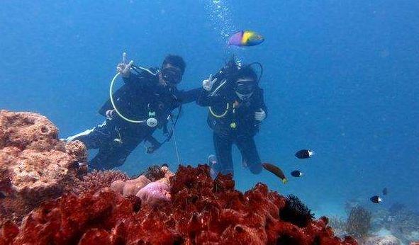 女生说我回复她信息太敷衍了，什么意思游戏画面